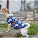 현대동물병원 이미지