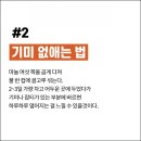 꽃집총각