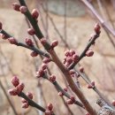 웰부동산중개사무소 이미지