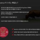 미트러스 네이버블로그