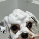 인천미용상사