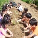 수수밥,콩나물국,쇠고기궁중떡볶이,감자채볶음,열무김치 이미지