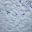 종합운동장 족구장 이미지