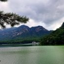 소나무와 호수 이미지