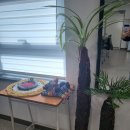 중구재활용센터 이미지