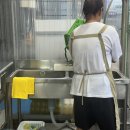 신마창수산