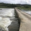 솔고생태도서관 이미지