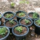 정윤농장 이미지