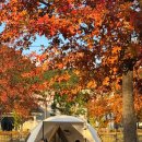 청도신화랑풍류마을 오토캠핑장 이미지