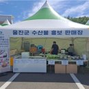 경북건어물 이미지