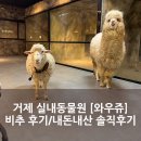 와우쥬 | 거제 실내동물원 [와우쥬 거제도점] 내돈내산 솔직후기(비추..)