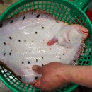 후포회수산 이미지