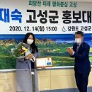 고성댁 이미지