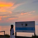 신장쇼핑몰관광안내소 | 일본 소도시 [유유버스투어] 마쓰야마 근교 일일 버스투어 내돈내산 후기 꿀팁까지