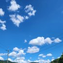 남원흑염소농장 이미지