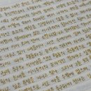 신 인류의 사랑