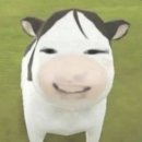 암다주 | 시선의 질량은 거짓말 하지 못한다