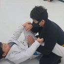 안양주짓수파크 이미지