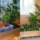 우리가족 정원 만들기 이미지