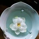 ♥이 곳은 내 자녀와 눈에 넣어도 개이지 않을 손자 손녀가 살아갈 나라이기에, 이미지