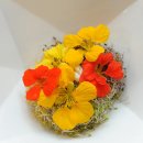 남연허브 이미지