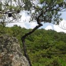 왕피천생태탐방로 이미지