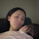 하도꿀잠 | 모로반사 신생아 잠투정 등센서 극복 꿀잠 추천 머미쿨쿨 후기