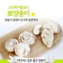 양송농장 네이버블로그