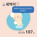 아빠맘스 이미지