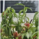 스테이오로지 이미지