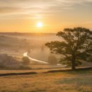 한스행정사사무소 이미지