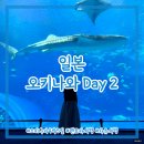 산속등대 야외공연장 | 오키나와 4박5일 자유여행_2일차 ⎮ 잔파미사키 등대, 쿄다휴게소, 코우리대교, 츄라우미 수족관, 호텔...