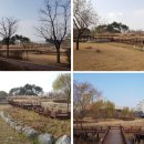 운정체육공원 이미지