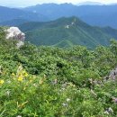 무룡1로R 이미지