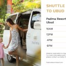 파드마투어 이미지