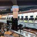 바디스타 짐 이미지