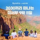 썬샤인캠프 | 미국 서부 패키지 여행 LA 그랜드캐년 요세미티 투어 혼자 가족 여행 추천 🇺🇸