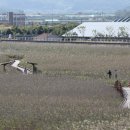 일렁이는 이미지