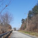 원창1리 이미지