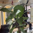 낙성대역 2번출구 이미지