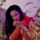 선미네 티스토리