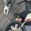 순흥기지떡 영주점 이미지