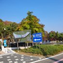 상조할인마트