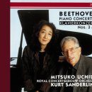 Beethoven: Piano Concerto No. 3 in C Minor, Op. 37 - 3. Rondo. Allegro 이미지