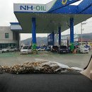 성은세차장 이미지