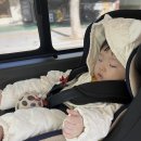 시흥대로45길 | 카페 금천구 1호점 방문 :: 서울형 키즈카페 금천구 시흥1동 나래랑키즈랑점 6개월 8개월 아이랑 방문 후기