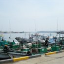 독도어부 이미지