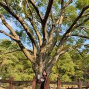 은평-063 이미지