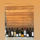 서림동물병원 | Remember 2025년