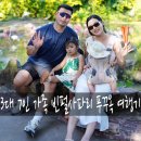 메인투어(주) | 푸꾸옥 빈펄사파리 솔직후기: VIP 매진이어도 “트램 자유투어”로 하이라이트 다 뽑는 법